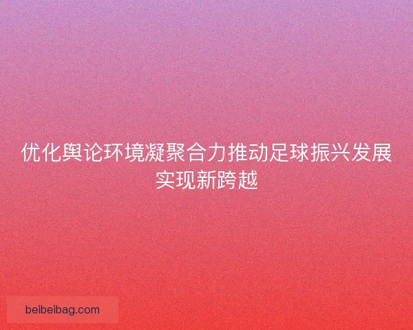优化舆论环境凝聚合力推动足球振兴发展实现新跨越