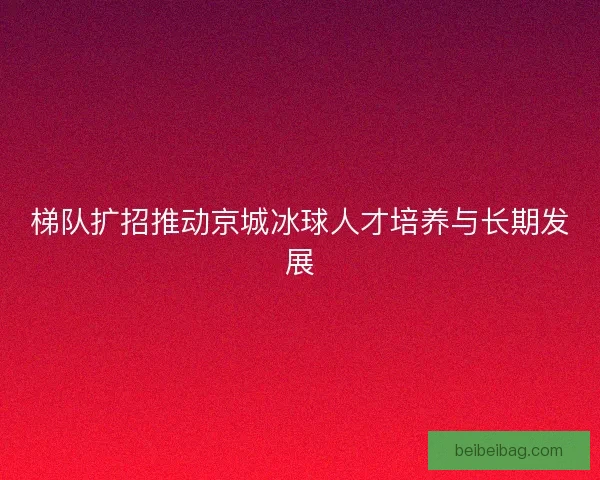 梯队扩招推动京城冰球人才培养与长期发展